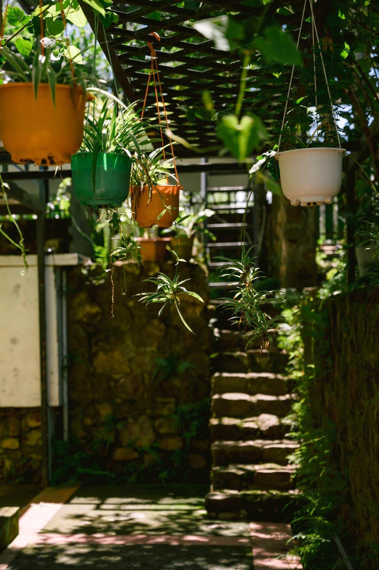 Lilac Cottage Homestay Дуонг-Донг Экстерьер фото